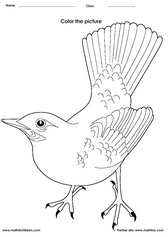 Coloring bird activitiy for kids. PDF printable coloring worksheet